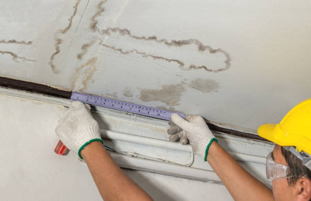 Reliable Mold Remediation contractor in Bridgeport, NY by Water Damage Irwin